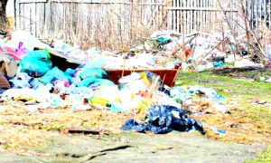 Вывоз мусора в поселке Ильинский