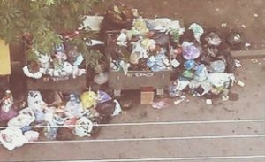 Вывоз мусора в Звенигороде