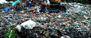 Вывоз мусора в Видном 