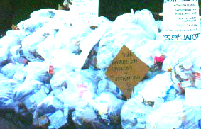 Вывоз мусора в Химках